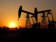 OPEC đối mặt nhiều sóng gió