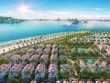 Khám phá sắc xanh tại Mallorca - Sun Grand City Feria