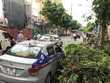 Hà Nội: Cành cây xà cừ lớn gãy, làm hỏng 3 xế hộp gần bệnh viện 108
