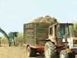 Doanh nghiệp mía đường chông chênh hồi phục