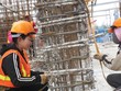 Bảo hiểm trách nhiệm: Tăng, nhưng chưa bền