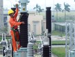 Phập phù cổ phiếu điện