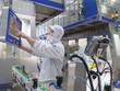 Chọn đúng cổ phiếu, nhiều quỹ ngoại kiếm lợi nhuận bằng lần