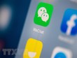 Mỹ: Tòa án California chặn lệnh cấm tải WeChat của chính phủ