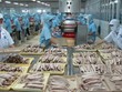 Tổng quan xuất nhập khẩu của Việt Nam với 14 thị trường RCEP