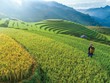 Khơi nguồn tín dụng đúng lĩnh vực trọng tâm