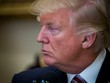 Người ủng hộ Trump giữ vững lòng tin giữa bão táp