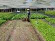 Tránh can thiệp vào phương án sản xuất - kinh doanh và nhân sự của hợp tác xã