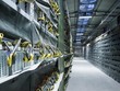 TP.HCM: EVN khởi kiện đòi 225 triệu doanh nghiệp “đội lốt” dệt may đào bitcoin