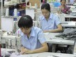 Gilimex (GIL) dự kiến huy động trái phiếu tối đa 100 tỷ đồng