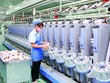 Một cá nhân trở thành cổ đông lớn tại Dệt may Thành công (TCM)