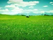 Sự kiện chứng khoán đáng chú ý ngày 24/10