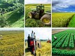 Tìm hiểu về chính sách tín dụng phục vụ phát triển nông nghiệp, nông thôn