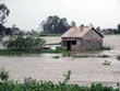 Cho vay nhà ở vùng đồng bằng sông Cửu Long