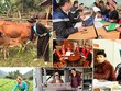Mức cho vay tối đa theo Quyết định số 2085/QĐ-TTg