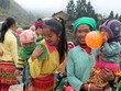 Chương trình cho vay phát triển kinh tế - xã hội vùng dân tộc thiểu số và miền núi
