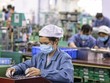 WB đề xuất 4 danh mục hành động chính sách với Việt Nam để phục hồi nhanh kinh tế sau đại dịch