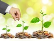 Nhận định thị trường phiên giao dịch chứng khoán ngày 17/8: Gia tăng tỷ trọng vào nhóm cổ phiếu dẫn dắt