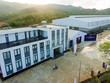 Phúc Sinh Group cho ra mắt cà phê Blue Son La