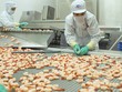 Năm 2019, xuất khẩu thủy sản vào châu Âu dự kiến đạt 1,5 tỷ USD