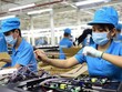 Doanh nghiệp tư nhân đang có xu hướng “li ti hóa”
