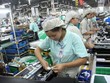 Xuất khẩu nông thủy sản và nhiên liệu khoáng sản quý I/2019 giảm, nhóm chế biến tăng