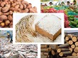 Có tới 6/9 mặt hàng trong nhóm nông sản, thủy sản có kim ngạch xuất khẩu giảm