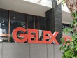GEX: HĐQT thông qua kế hoạch tổ chức Đại hội đồng cổ đông thường niên năm 2020