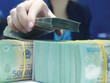 Tỷ giá tiền đồng sẽ không tăng quá 2% năm 2017