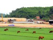 VEC thay “tướng” dự án cao tốc Đà Nẵng-Quảng Ngãi