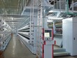 Xác lập vị thế dẫn đầu, Sợi Thế Kỷ kỳ vọng bứt phá