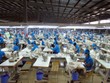 Hiệp định CPTPP tiếp lửa cổ phiếu dệt may