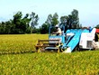 Lộc Trời: Thuốc bảo vệ thực vật đem lại lợi nhuận lớn nhất