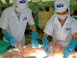 Hùng Vương (HVG) lại thêm một lần "đính chính" mức lợi nhuận