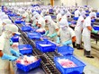 ACL dự kiến lợi nhuận 2018 tăng 50,8%