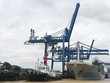 TCD lên kế hoạch lãi ròng hơn 77 tỷ đồng