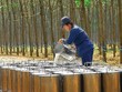 DPR: Tháng 6 ước đạt gần 30 tỷ đồng lợi nhuận