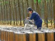 Ngày 30/8, DPR trả 20% cổ tức bằng tiền