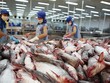 Doanh nghiệp thủy sản bứt phá, cổ phiếu vẫn lặng sóng