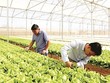 Hà Nội phấn đấu 45% GDP đến từ các ngành công nghiệp xanh, môi trường và tái chế chất thải