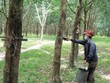 Tận dụng cơ hội tiếp cận sâu thị trường Trung Quốc