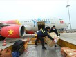 Còn gần 2 triệu vé máy bay dịp Tết Kỷ Hợi 2019 vẫn chờ người mua