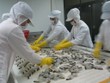 Tận dụng các FTA, tôm Việt tăng xuất khẩu sang Nhật
