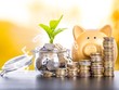 Nhà đầu tư nên chọn quỹ mở nào tại thời điểm này?