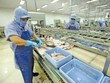 Tận dụng hiệu quả “đòn bẩy xuất khẩu” từ CPTPP