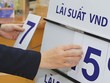 Lãi suất VND khó hạ nhiệt