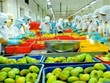 Ông chủ Thái mỗi tháng mạng 200 tấn khoai lang tím, thanh long,... bán tại BigC Thái Lan