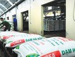 Đạm Hà Bắc trong vòng xoáy nợ nần