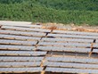 Hạ nhiệt đầu tư điện mặt trời