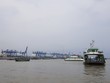 TP.HCM: Kim ngạch xuất nhập khẩu tháng 1 giảm hơn 32%